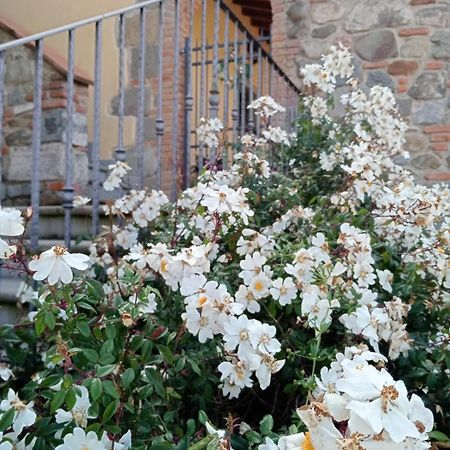 Appartamento Olivella Reggello Exterior foto